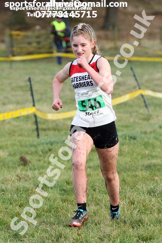 Womens under-17s and under-20s cross country, 2019 North Eastern Cross Country Champs., Alnwick, Northumberland.  Photo: David T. Hewitson/Sports for All Pics